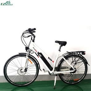 Electric Bike TDF04